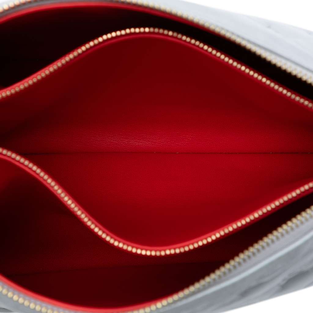 Louis Vuitton Monogram Embossed Puffy Lambskin Coussin PM Silver Leather Good condition - Model View