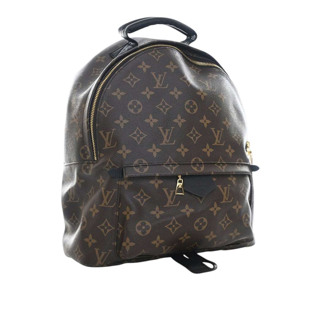 Louis Vuitton Monogram Palm Springs MM Brown Good condition - Back View