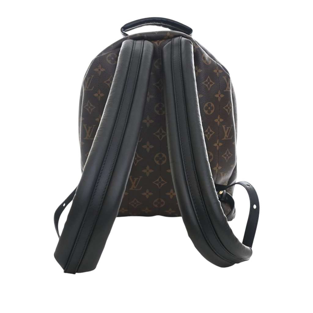 Louis Vuitton Monogram Palm Springs MM Brown Good condition - Model View