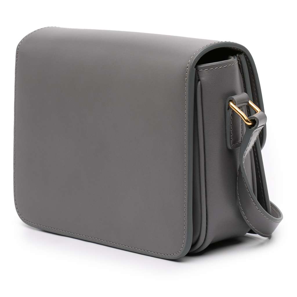 Celine Teen Shiny Calfskin Triomphe Crossbody Grey Leather Good condition - Back View