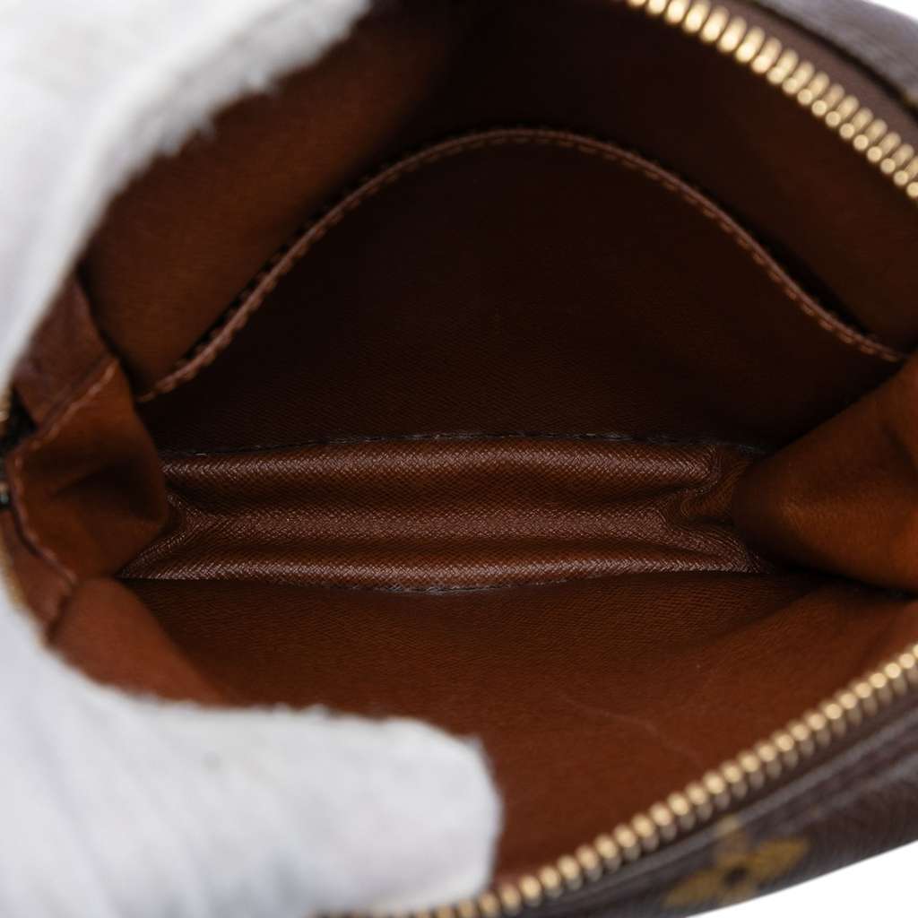 Louis Vuitton Monogram Danube Brown Good condition - Model View