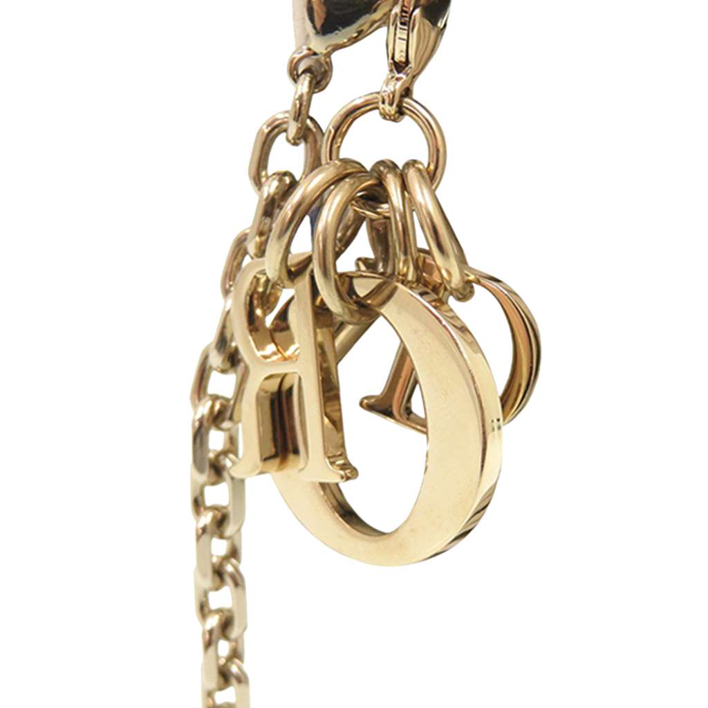 Dior Calfskin Hibiscus Card Holder with Chain White Leather Good condition - Box View