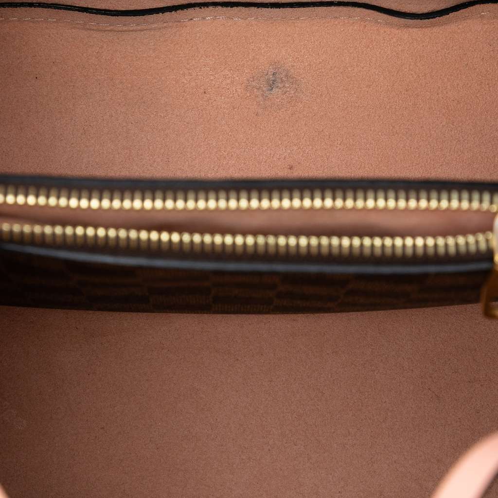 Louis Vuitton Damier Ebene NeoNoe MM Brown Good condition - Model View