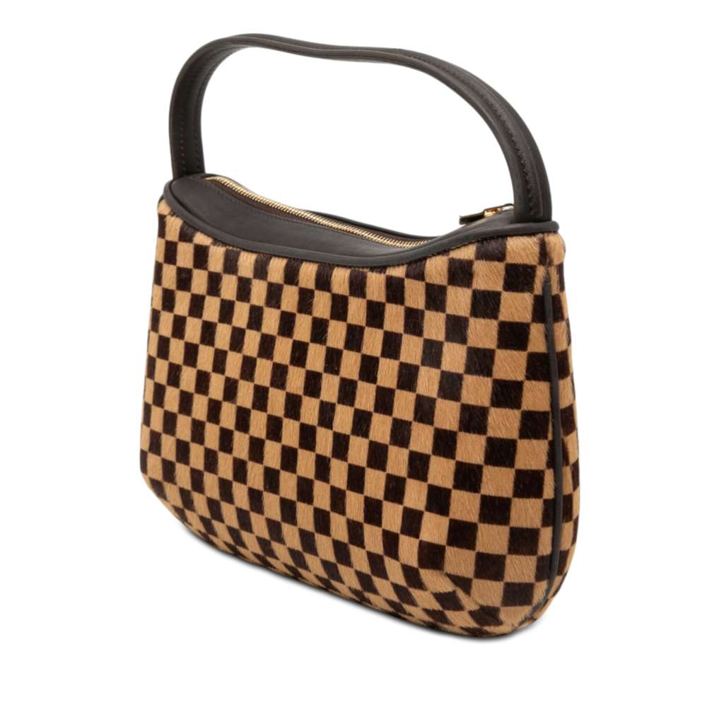 Louis Vuitton Damier Sauvage Tigre Brown Good condition - Back View