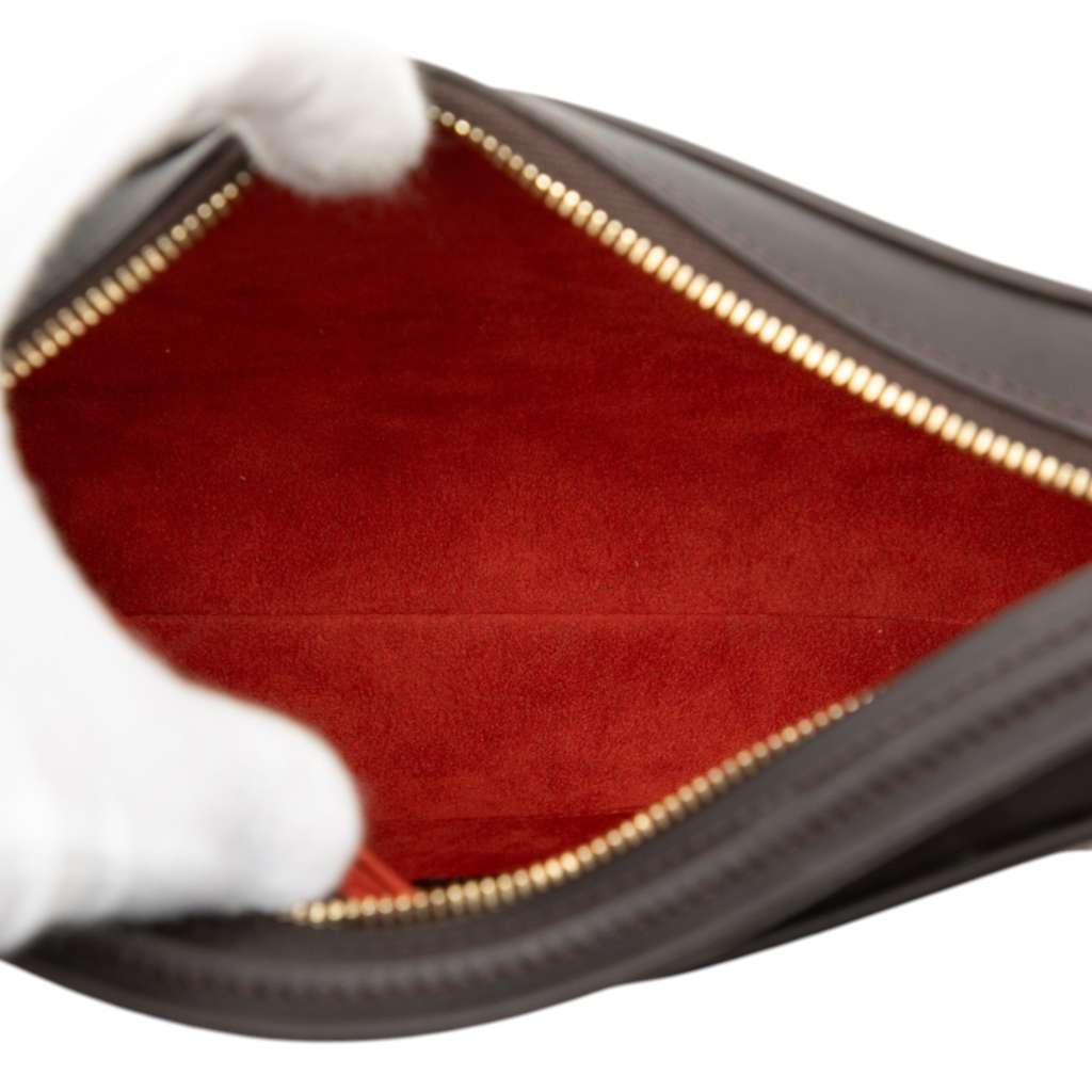 Louis Vuitton Damier Sauvage Tigre Brown Good condition - Model View