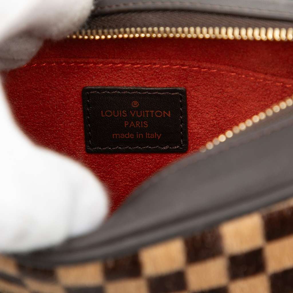 Louis Vuitton Damier Sauvage Tigre Brown Good condition - Box View