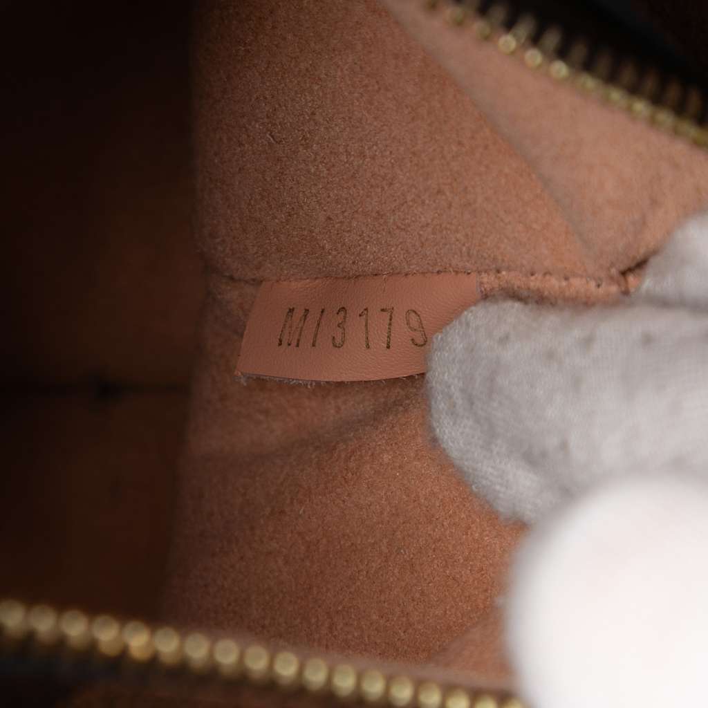 Louis Vuitton Damier Ebene NeoNoe MM Brown Good condition - Box View