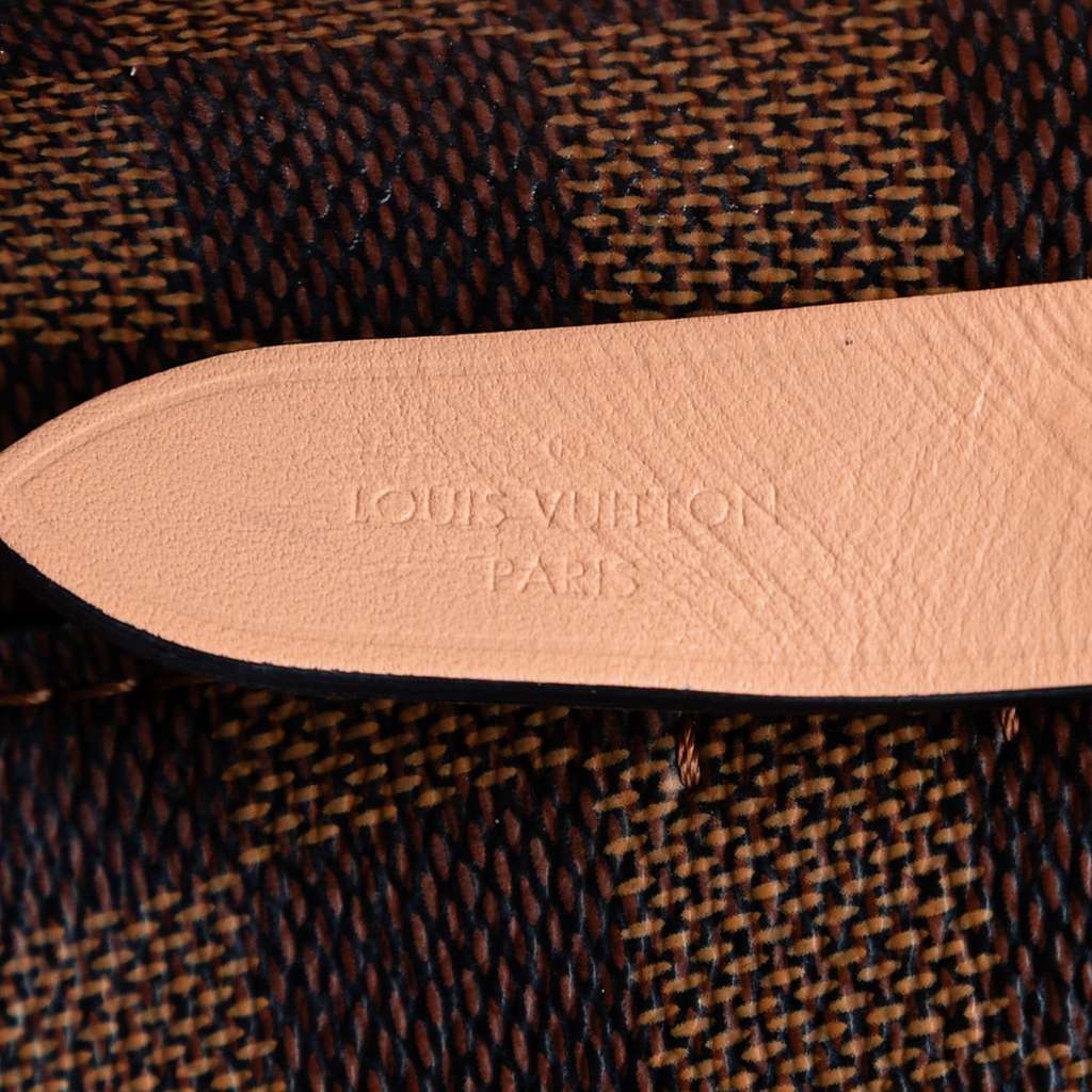 Louis Vuitton Damier Ebene NeoNoe MM Brown Good condition - Box View