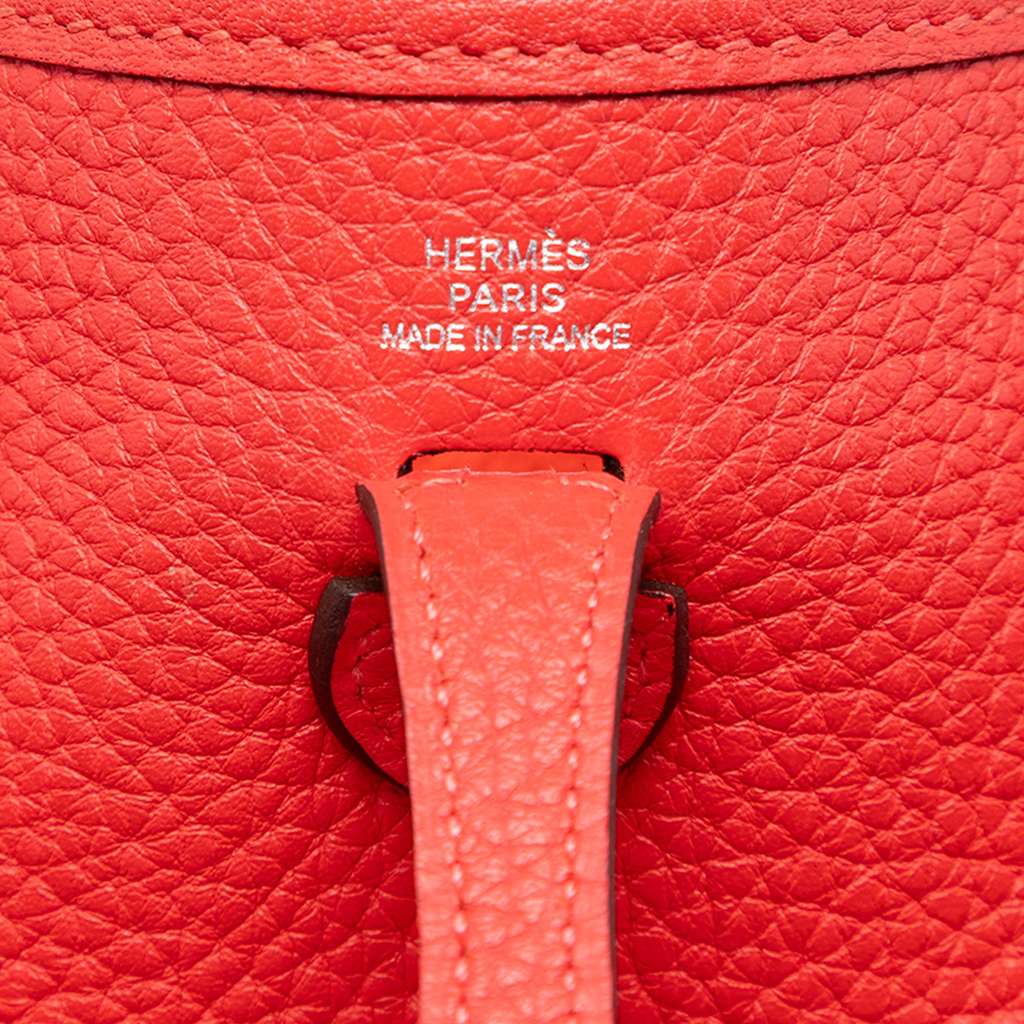 Hermès Clemence Evelyne I TPM Red Leather Good condition - Box View