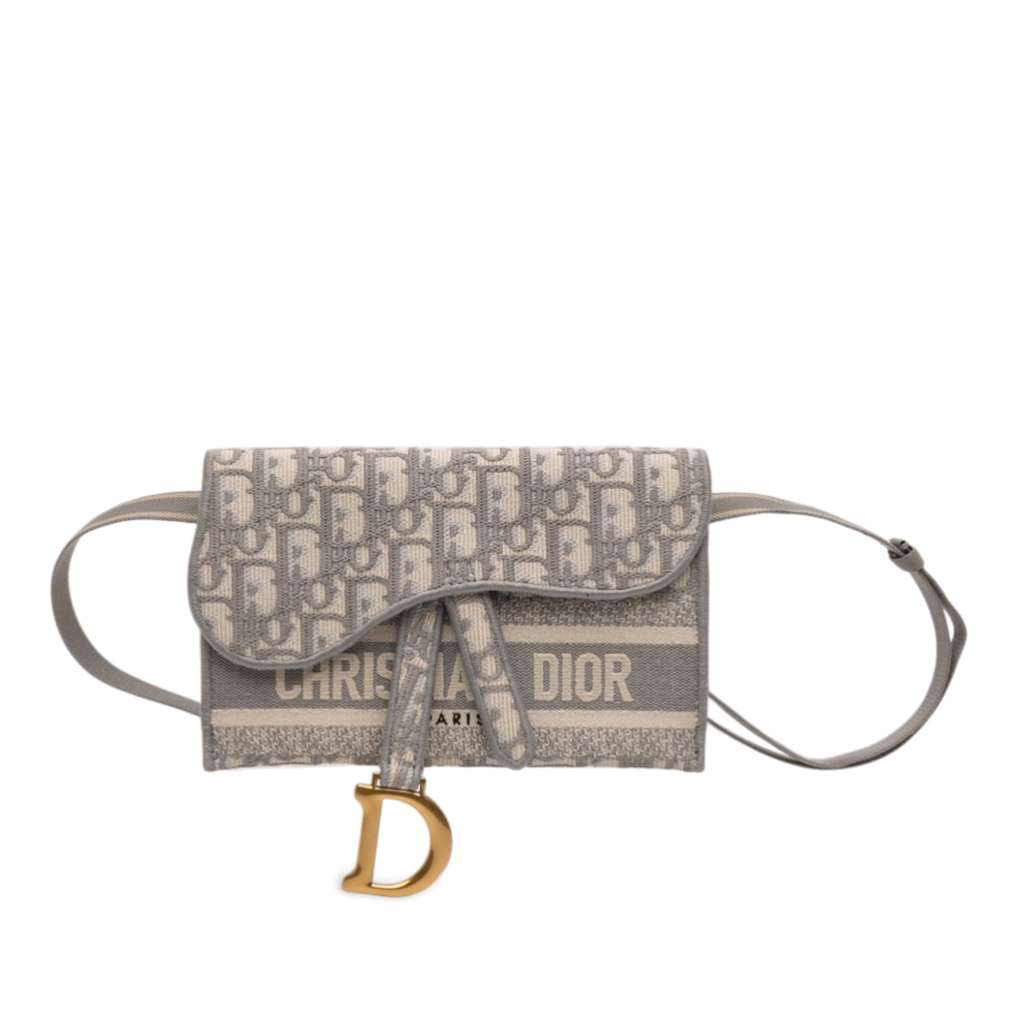 Dior Oblique Canvas Embroidered Saddle Belt Bag