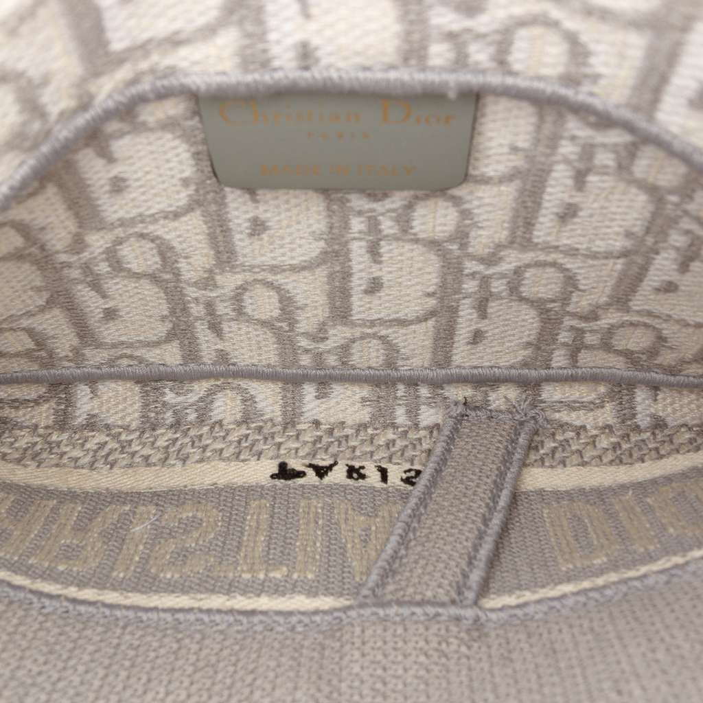 Dior Oblique Canvas Embroidered Saddle Belt Bag Grey Canvas Good condition - Model View