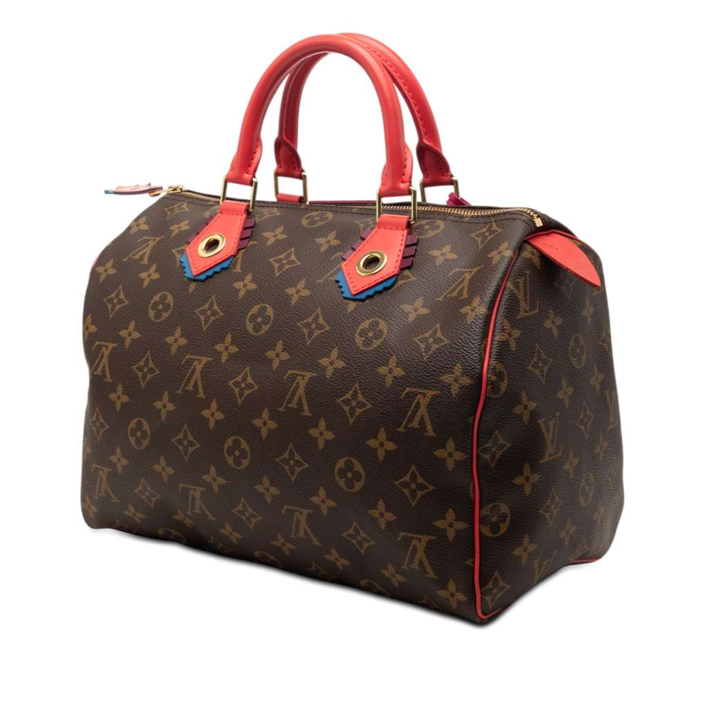 Louis Vuitton Monogram Totem Speedy 30 Brown Very good condition - Back View