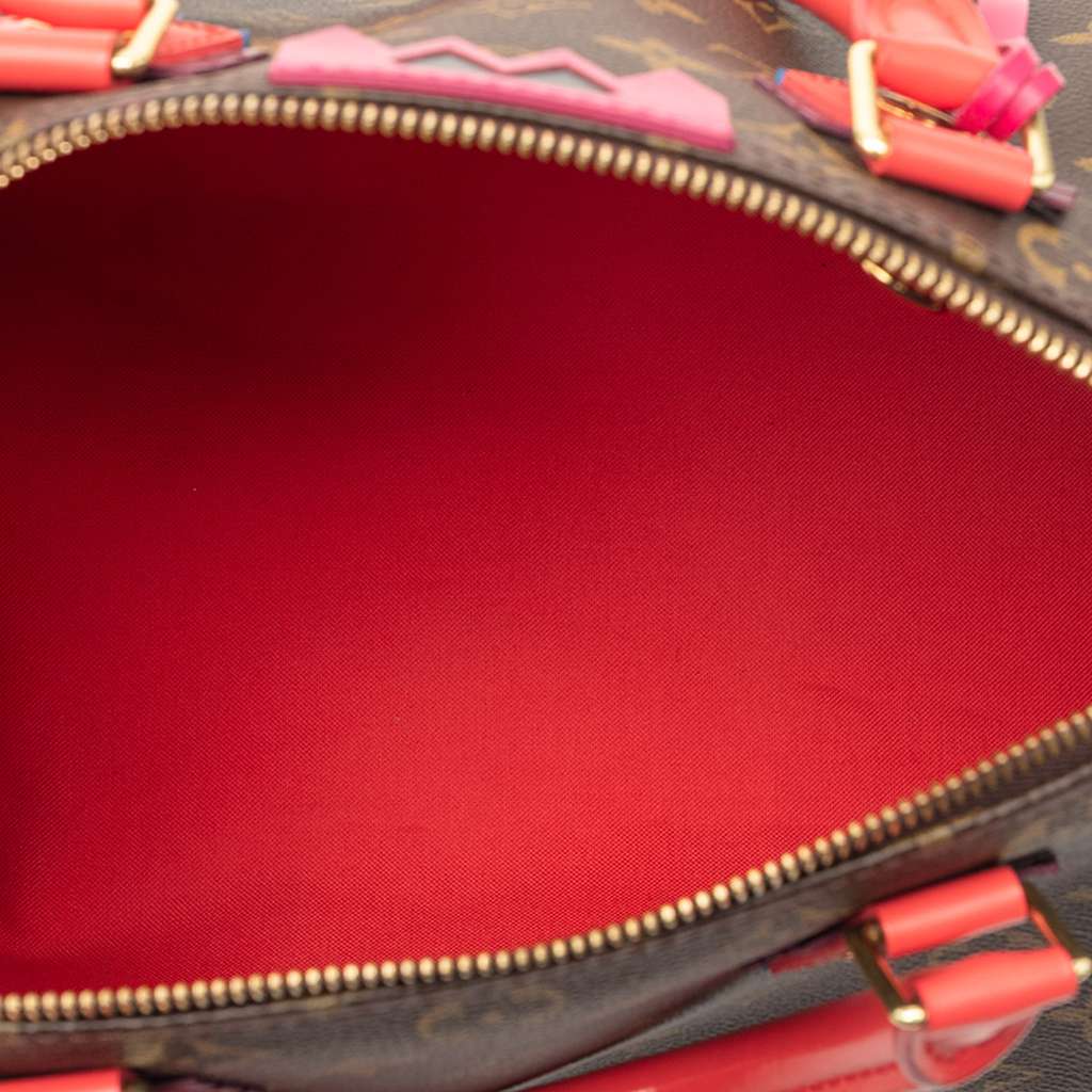 Louis Vuitton Monogram Totem Speedy 30 Brown Very good condition - Model View