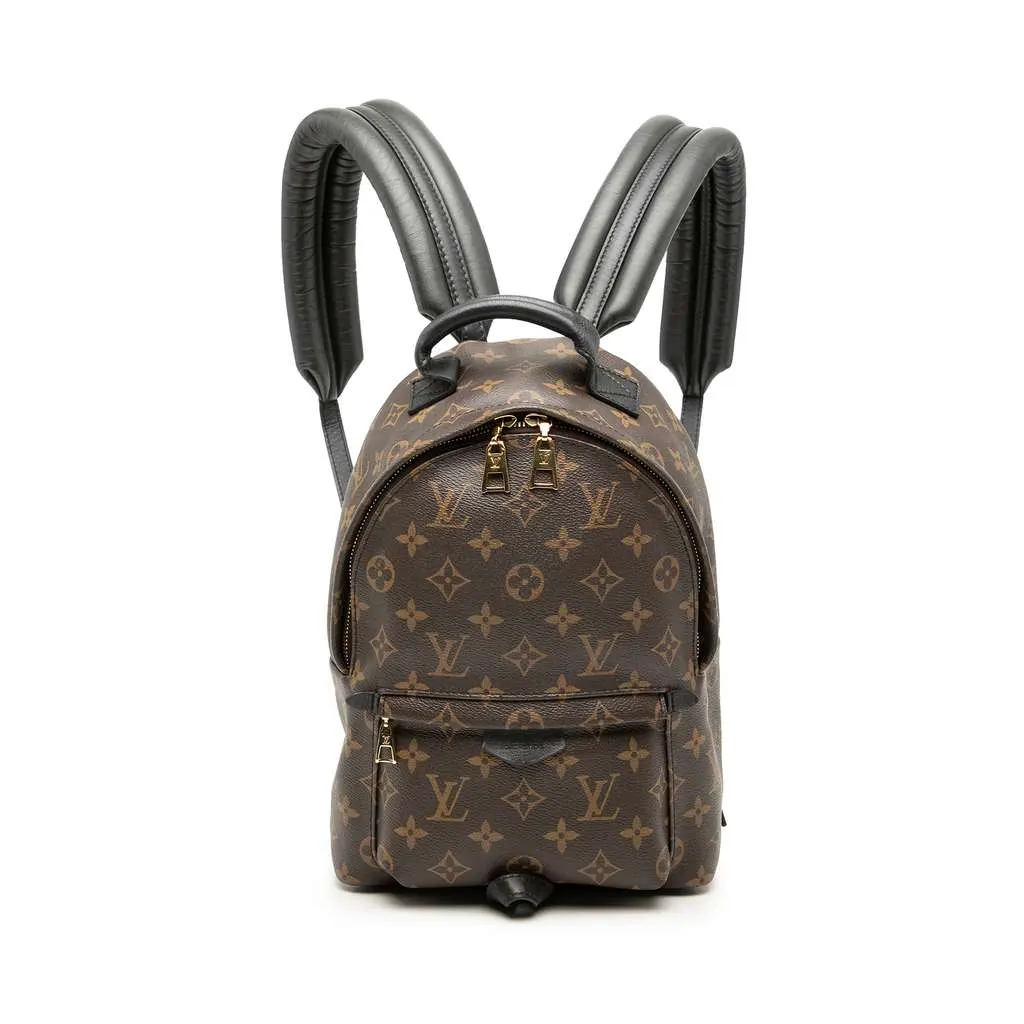 Louis Vuitton Monogram Palm Springs PM Brown Very good - Front View