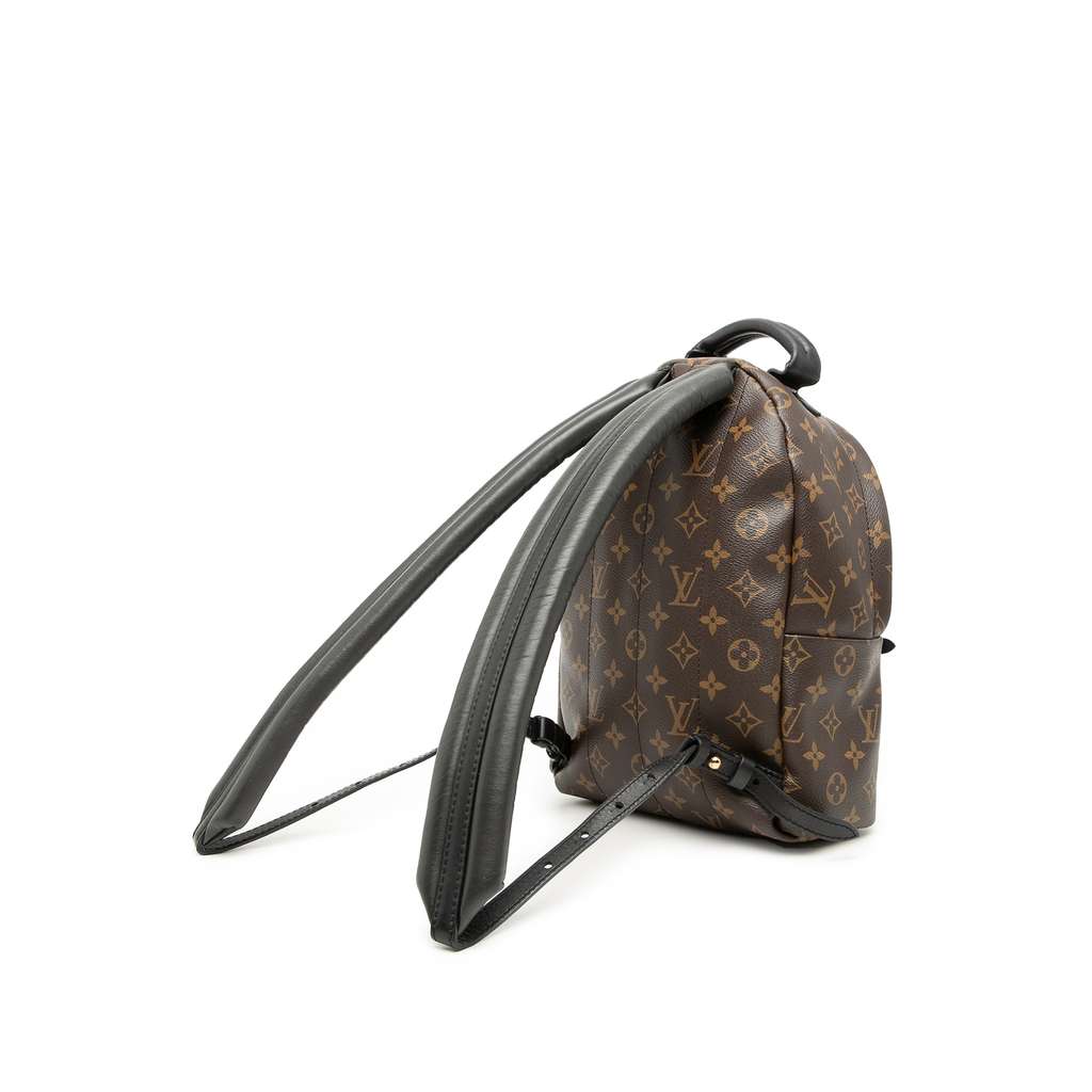 Louis Vuitton Monogram Palm Springs PM Brown Very good condition - Back View