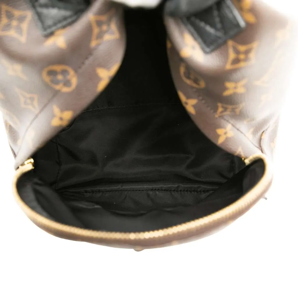 Louis Vuitton Monogram Palm Springs PM Brown Very good - Model View