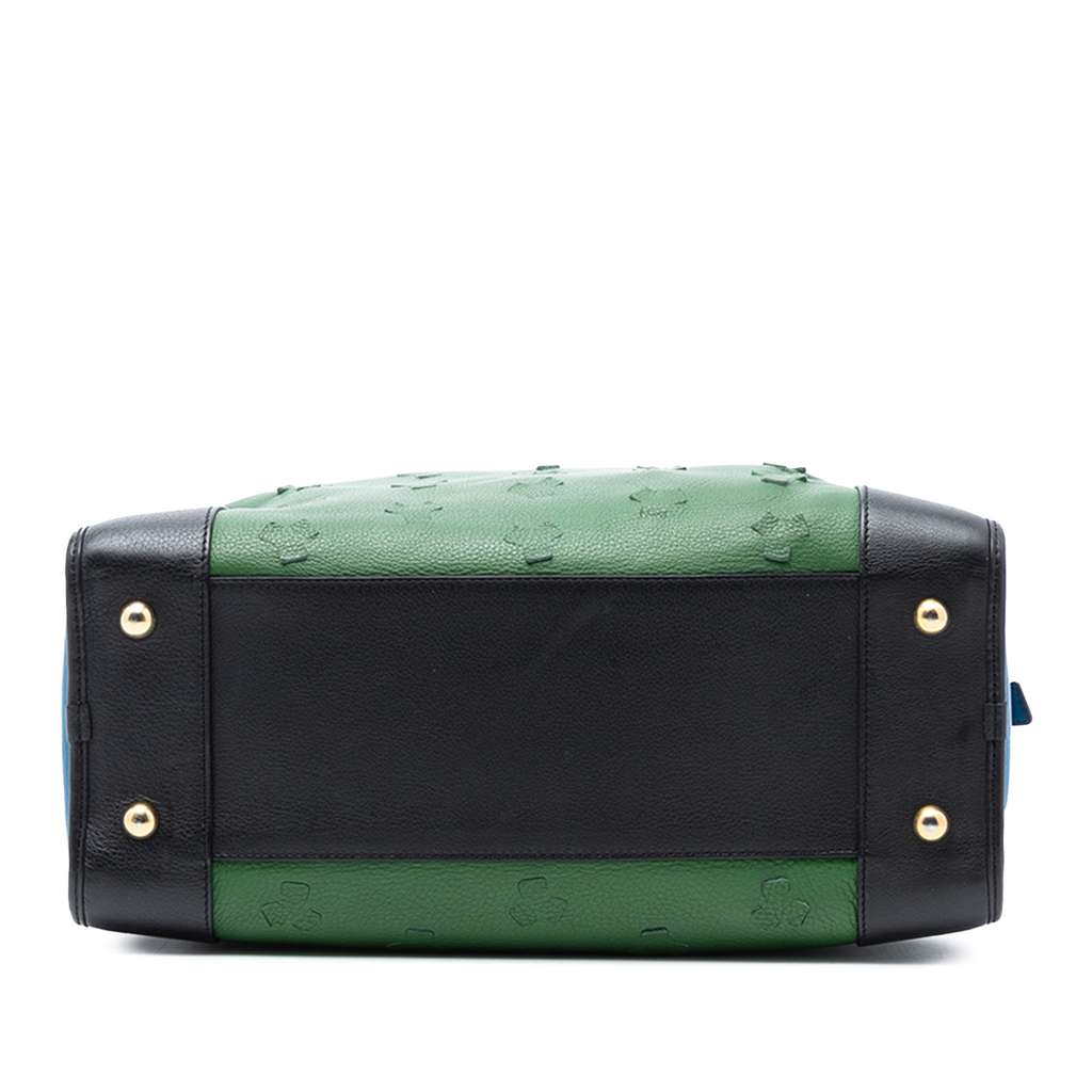 Loewe Limited Edition Leather Amazona 36 Green Leather Very good condition - Inside View