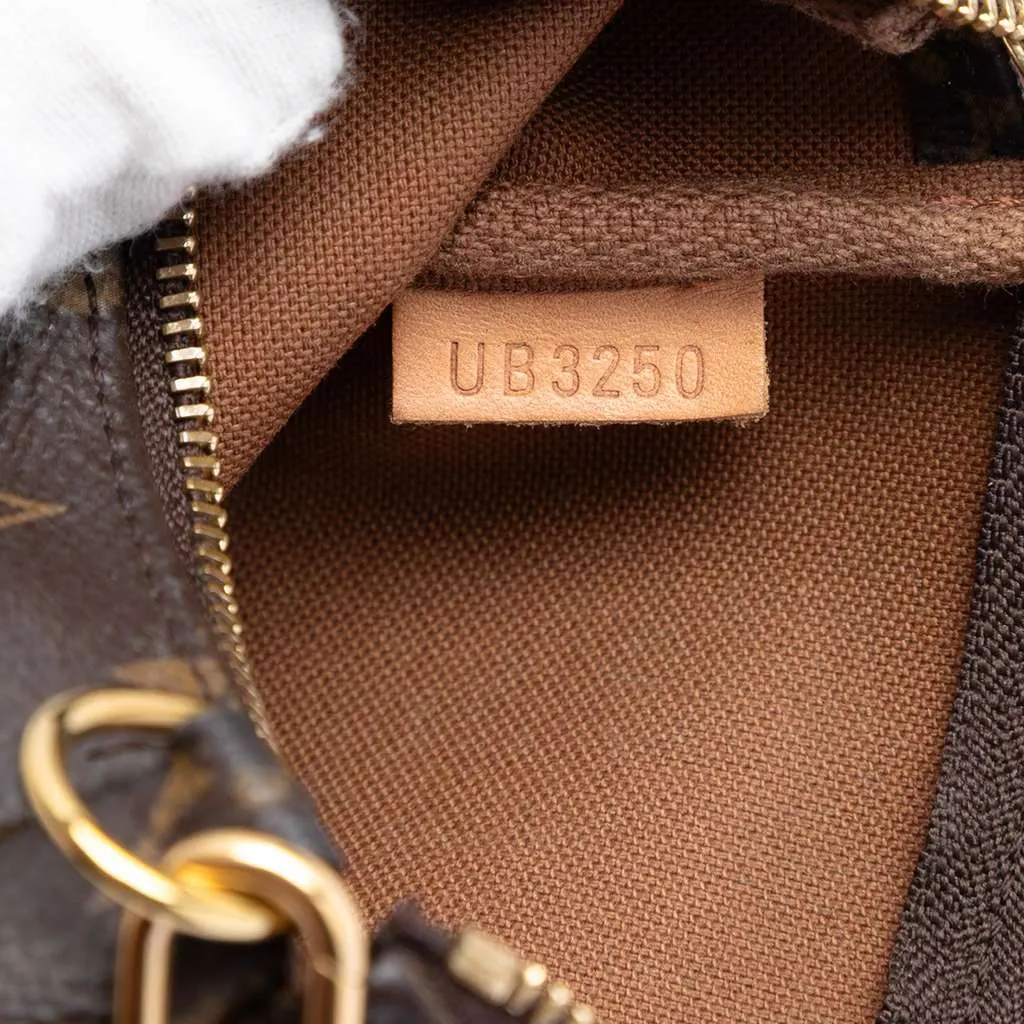 Louis Vuitton Monogram Mini Pochette Accessoires Brown Very good - Box View