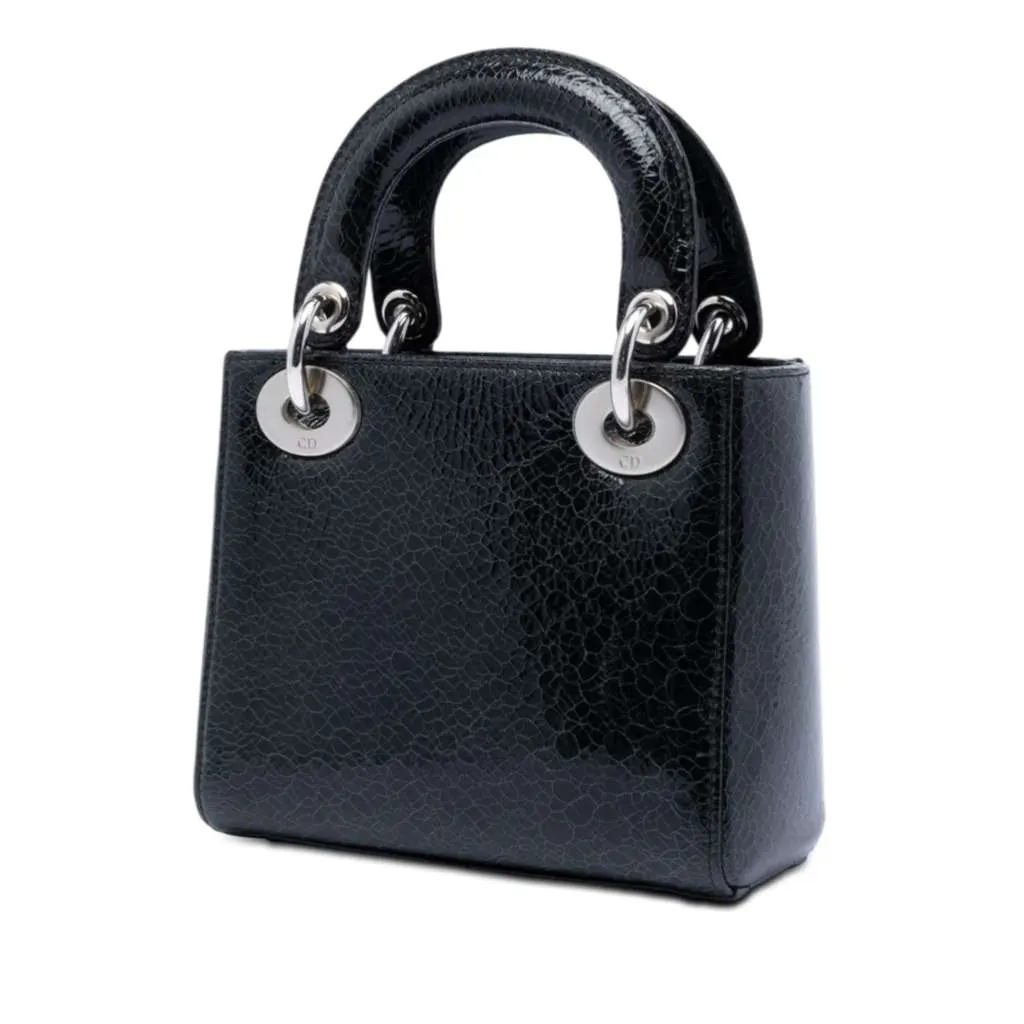 Dior Mini Deerskin Ceramic Effect Jeweled Swan Lady Dior Black Leather Very good - Back View