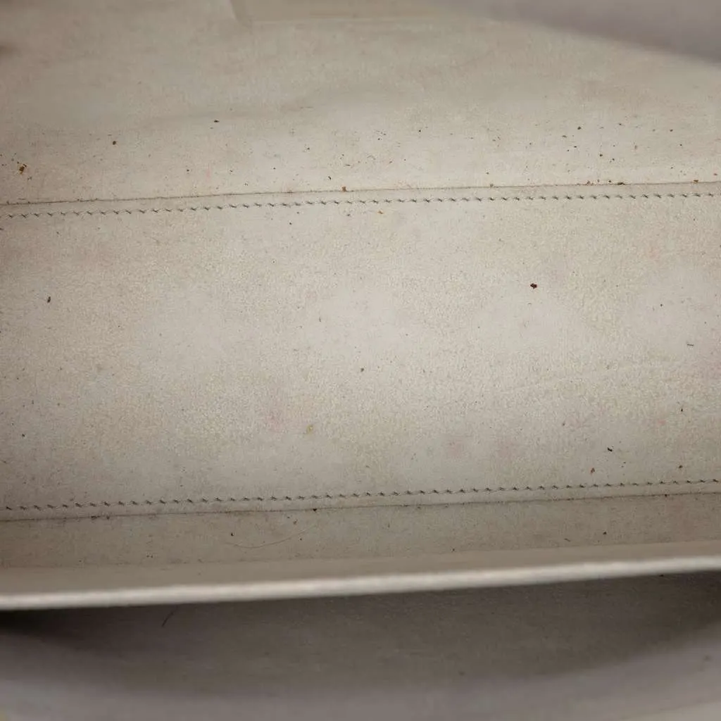 Dior Medium Calfskin Embroidered Jardin D Hiver Lady Dior White Leather Very good - Model View