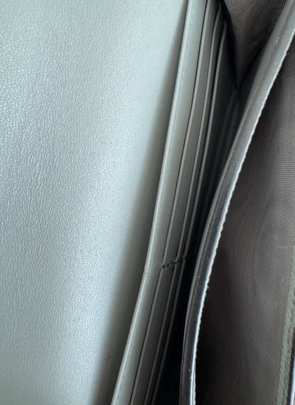 Dior Saddle WOC - Image 15