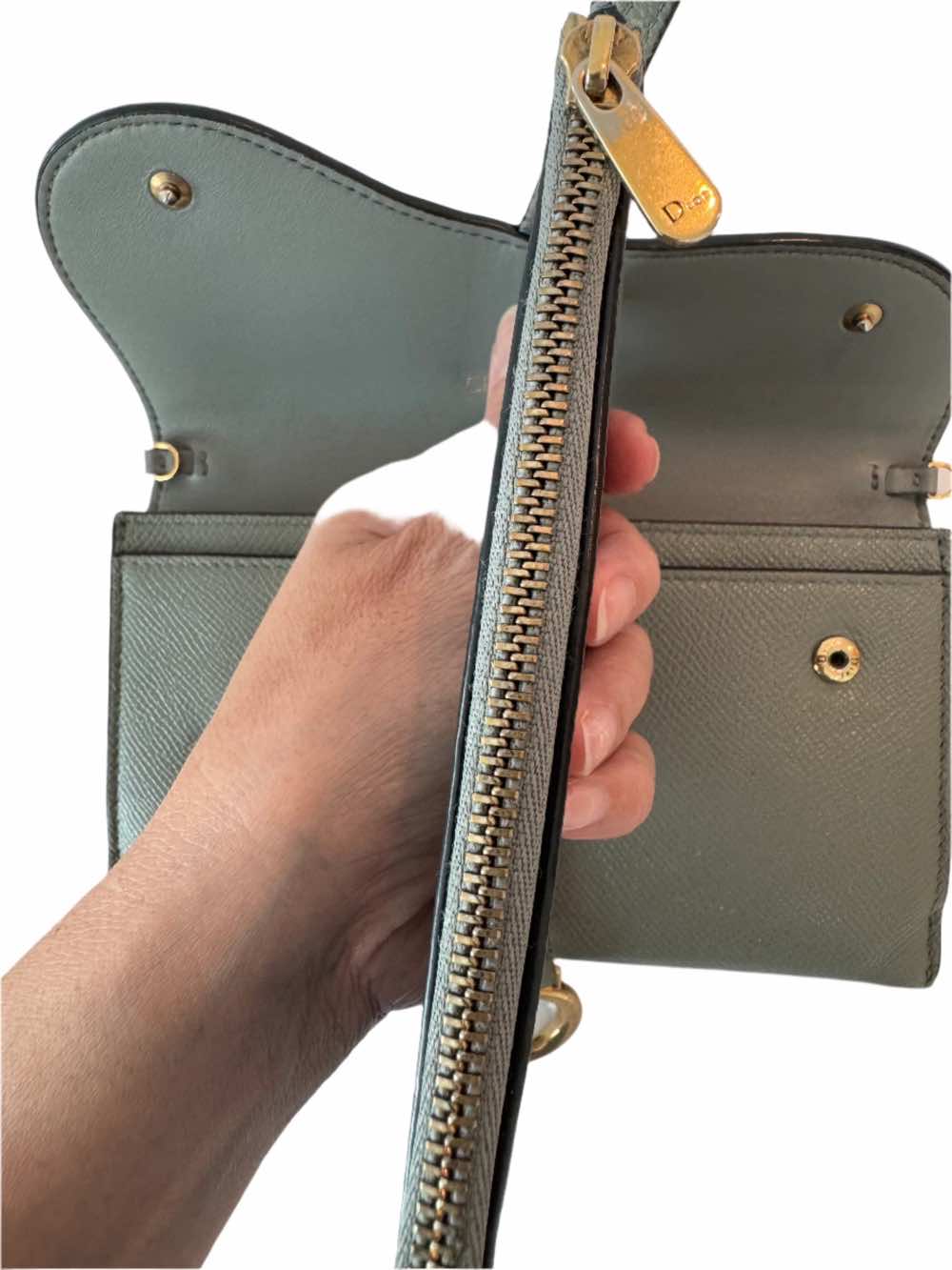 Dior Saddle WOC - Image 20