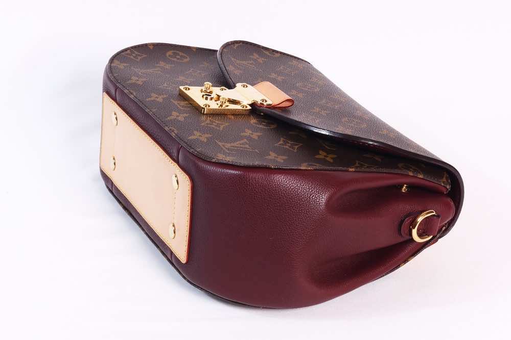 Louis Vuitton Monogram Eden - Image 14