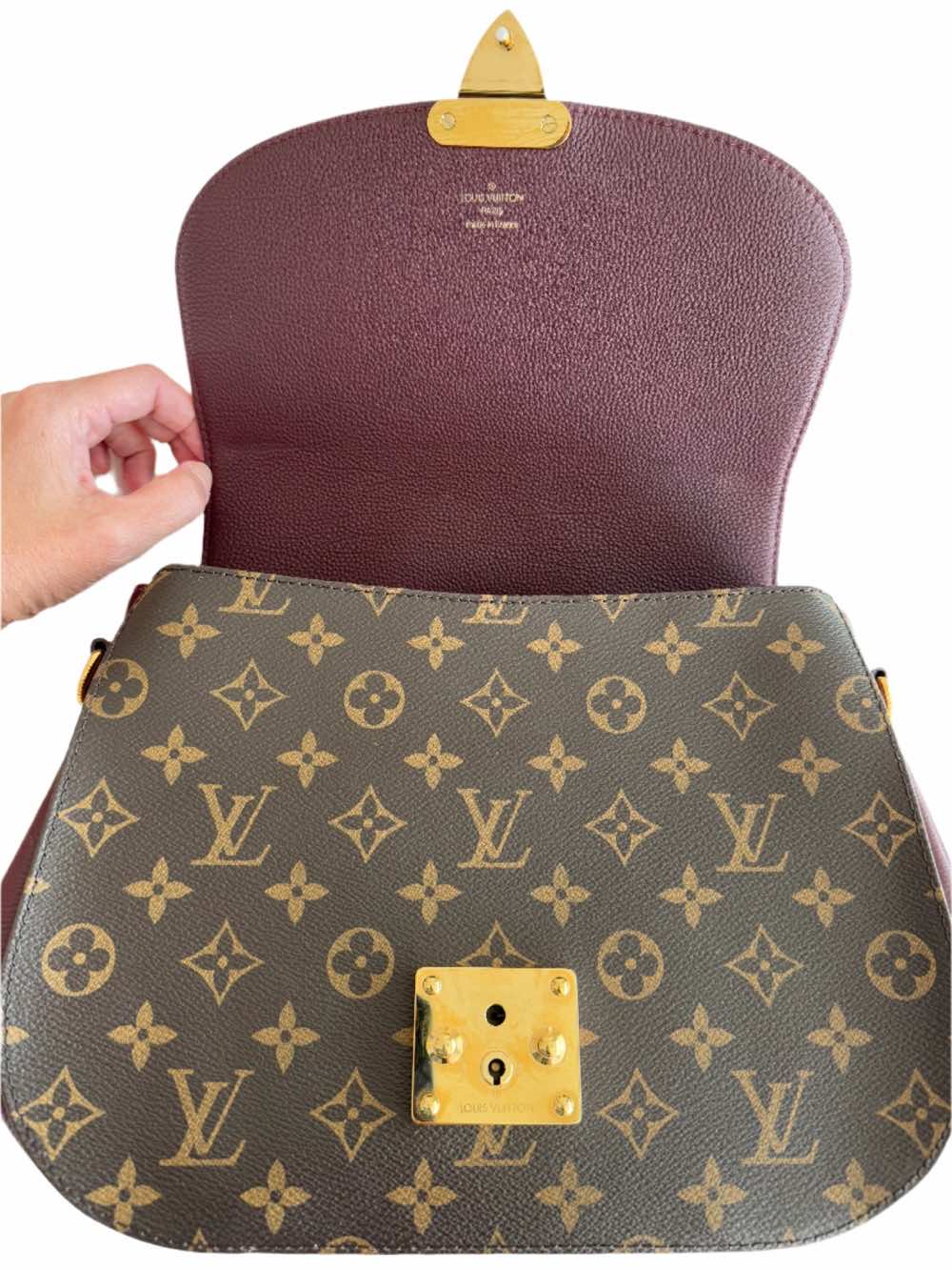 Louis Vuitton Monogram Eden - Image 19