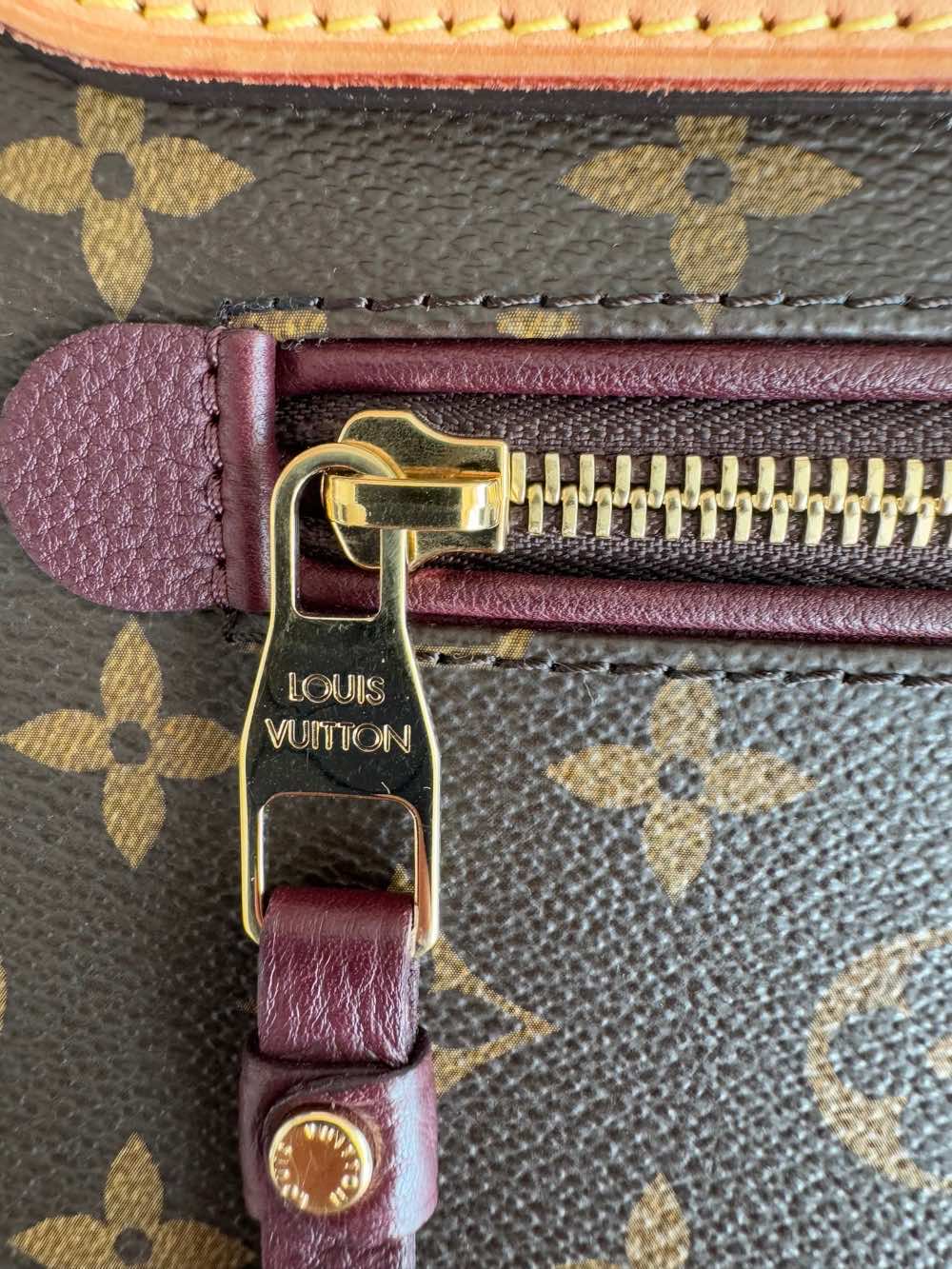 Louis Vuitton Monogram Eden - Image 23