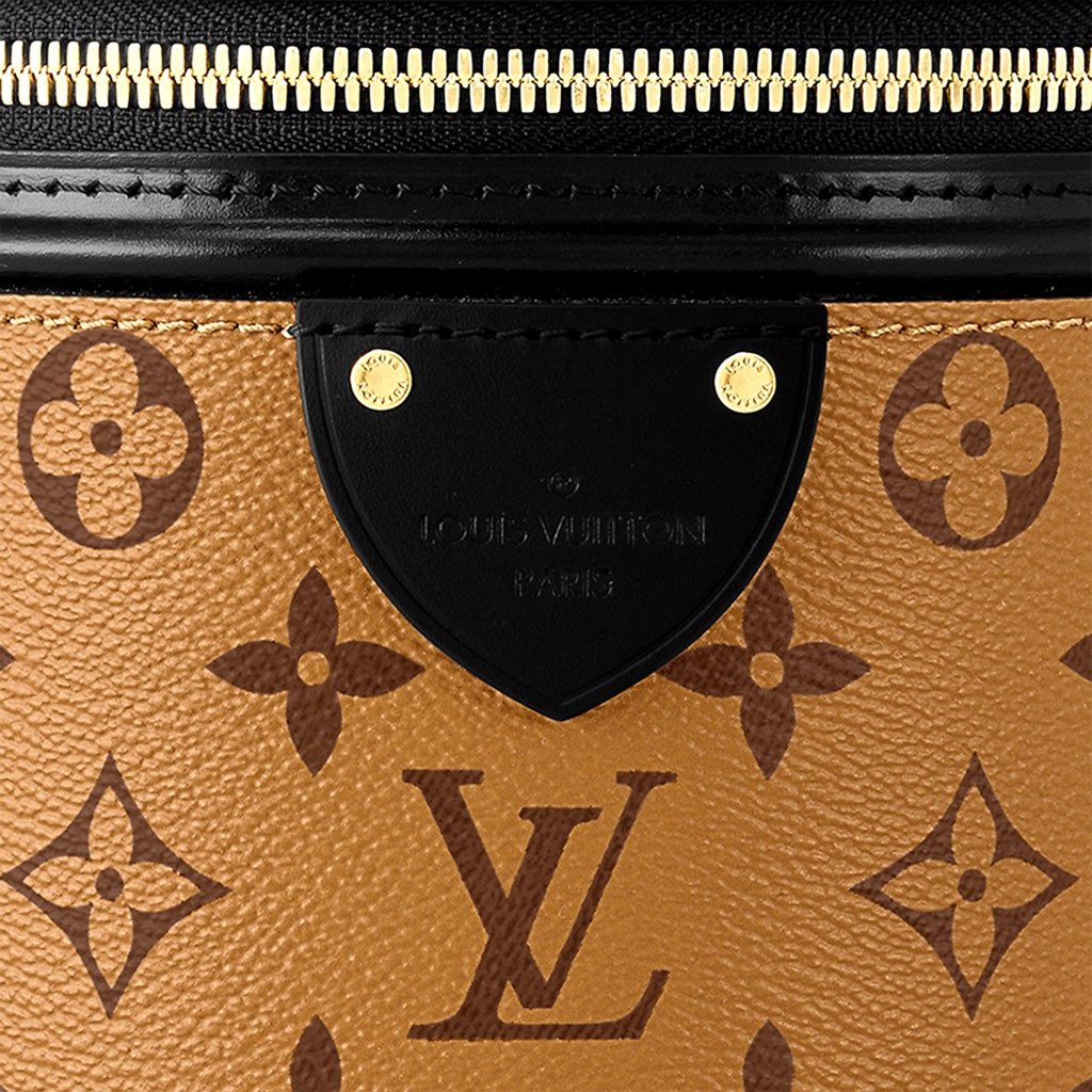 Louis Vuitton Louis Vuitton Cannes Reverse Monogram Black and Brown Bucket Bag - 4
