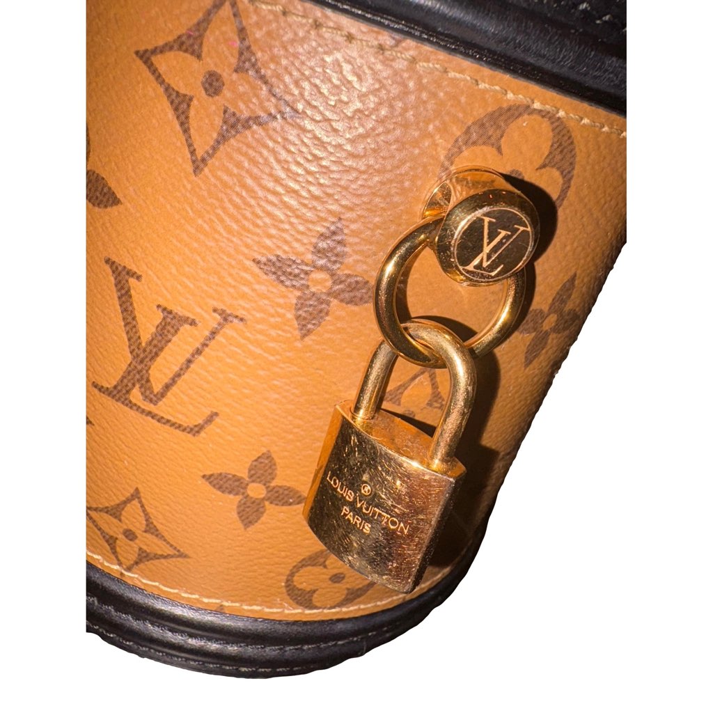 Louis Vuitton Louis Vuitton Cannes Reverse Monogram Black and Brown Bucket Bag - Detail 2
