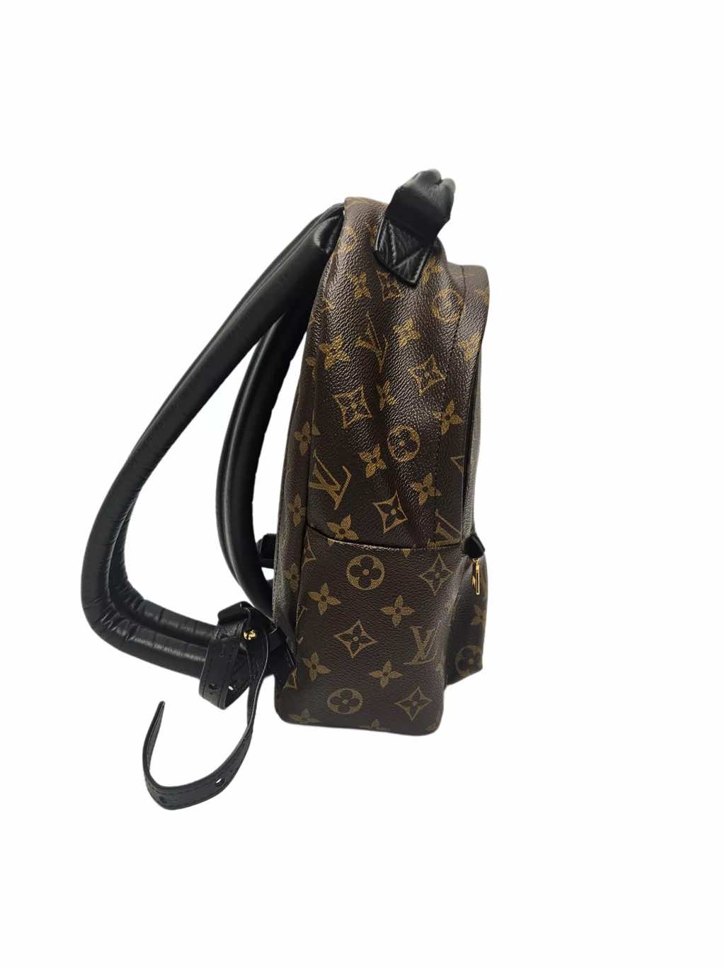 Louis Vuitton Palm Spring - Back view