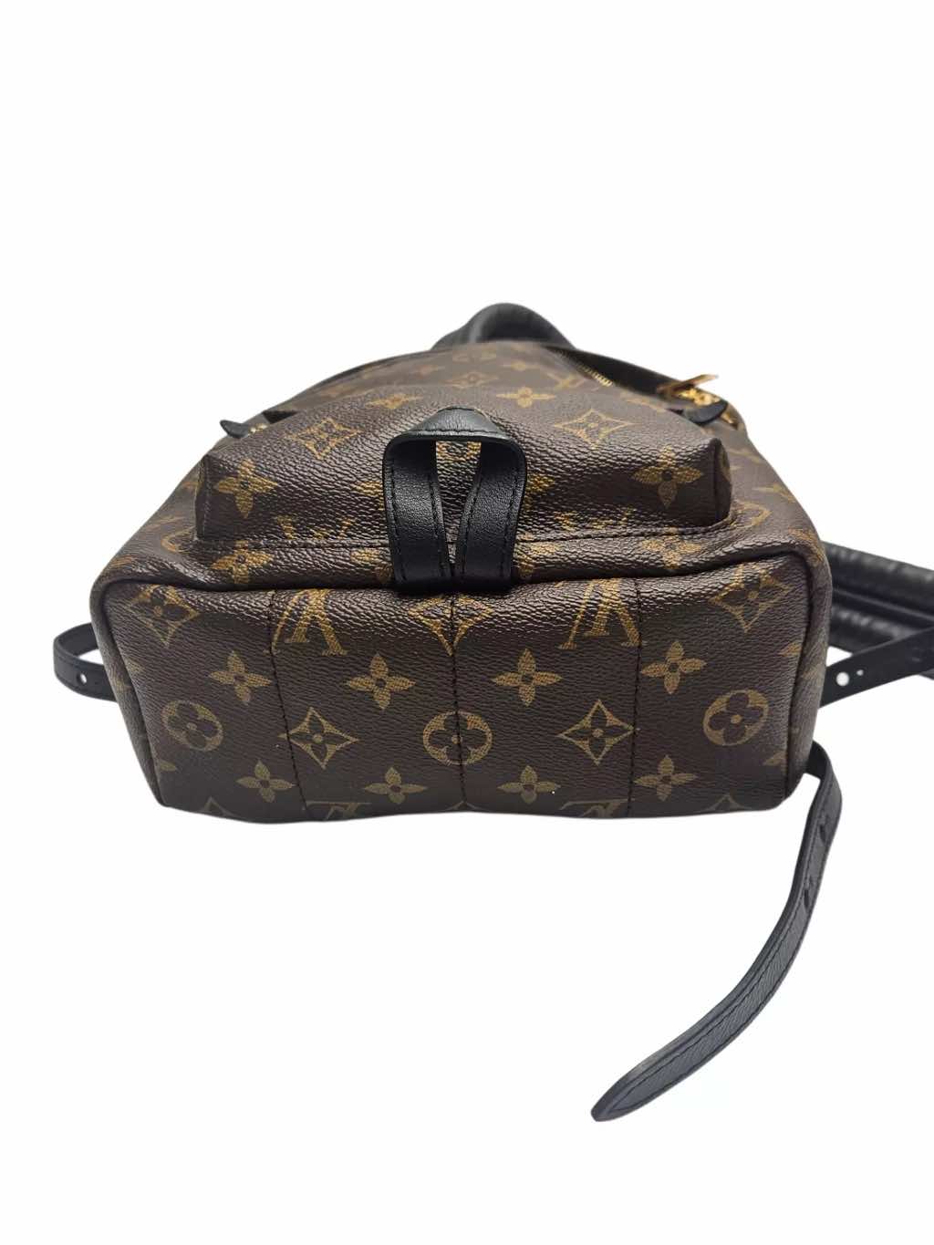 Louis Vuitton Palm Spring - 4