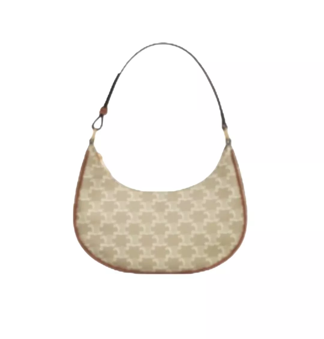 Celine Ava Bag Triomphe Canvas