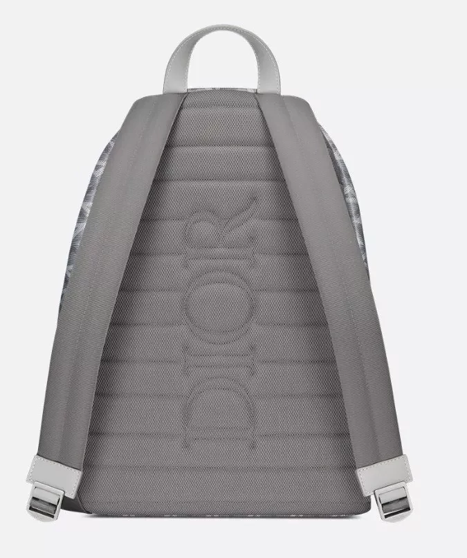 Christian Dior Gray Canvas Rider - Back view