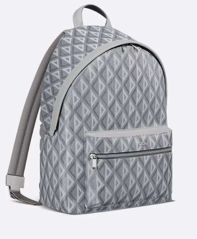 Christian Dior Gray Canvas Rider - Image 6