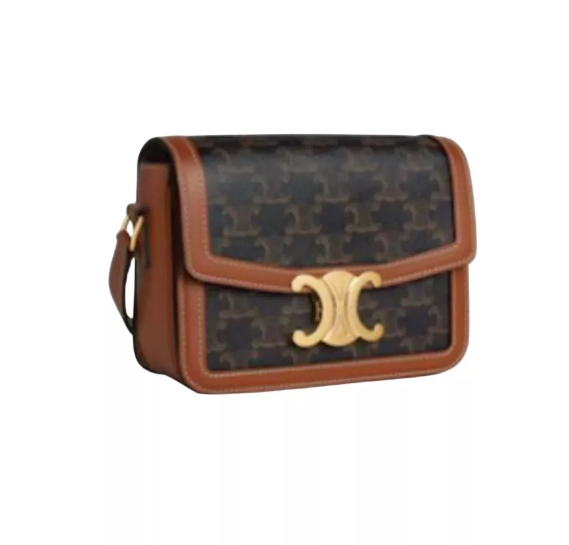 Celine Brown Teen Canvas Bag - Back view