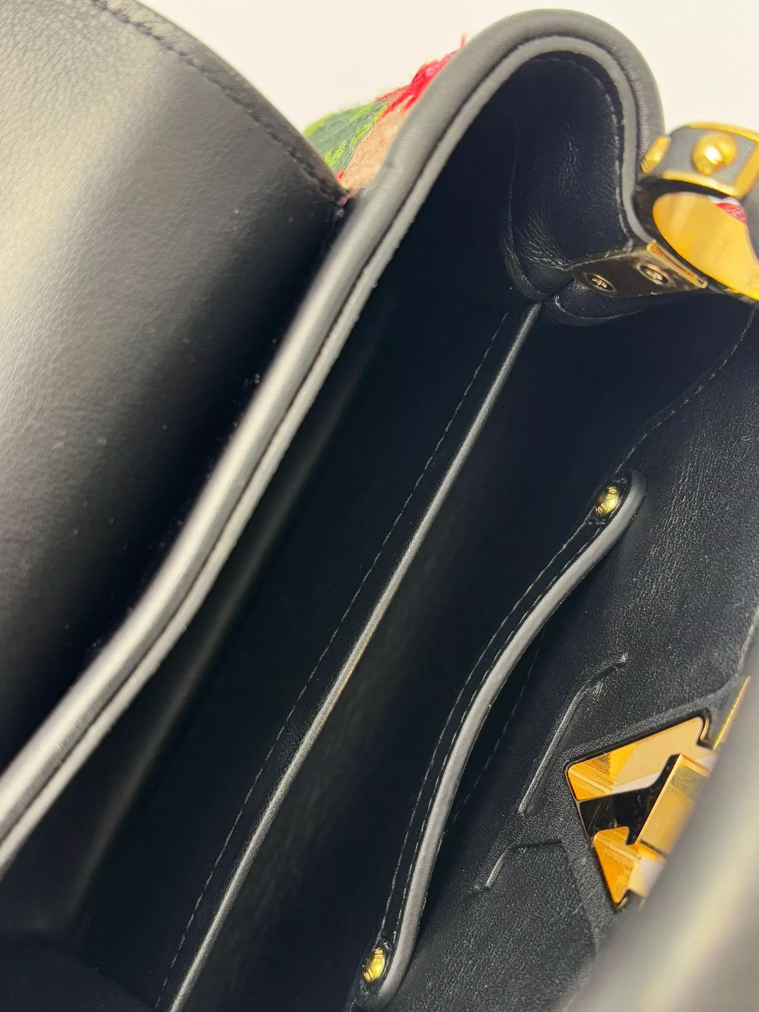 Louis Vuitton Capucines Multicolor Handbag - Back view