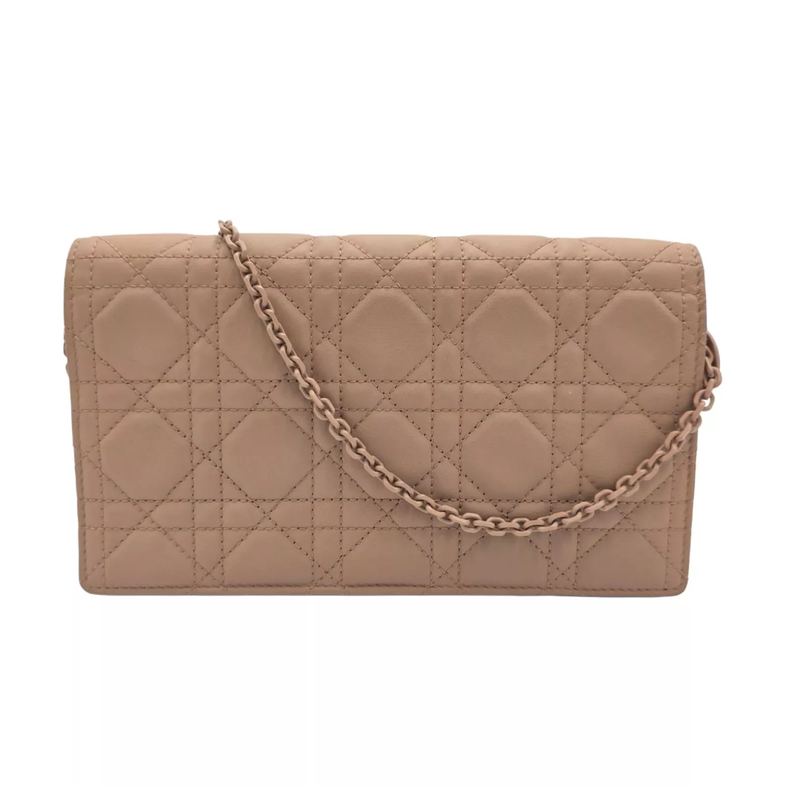 Christian Dior Ultra Matte Dior Clutch