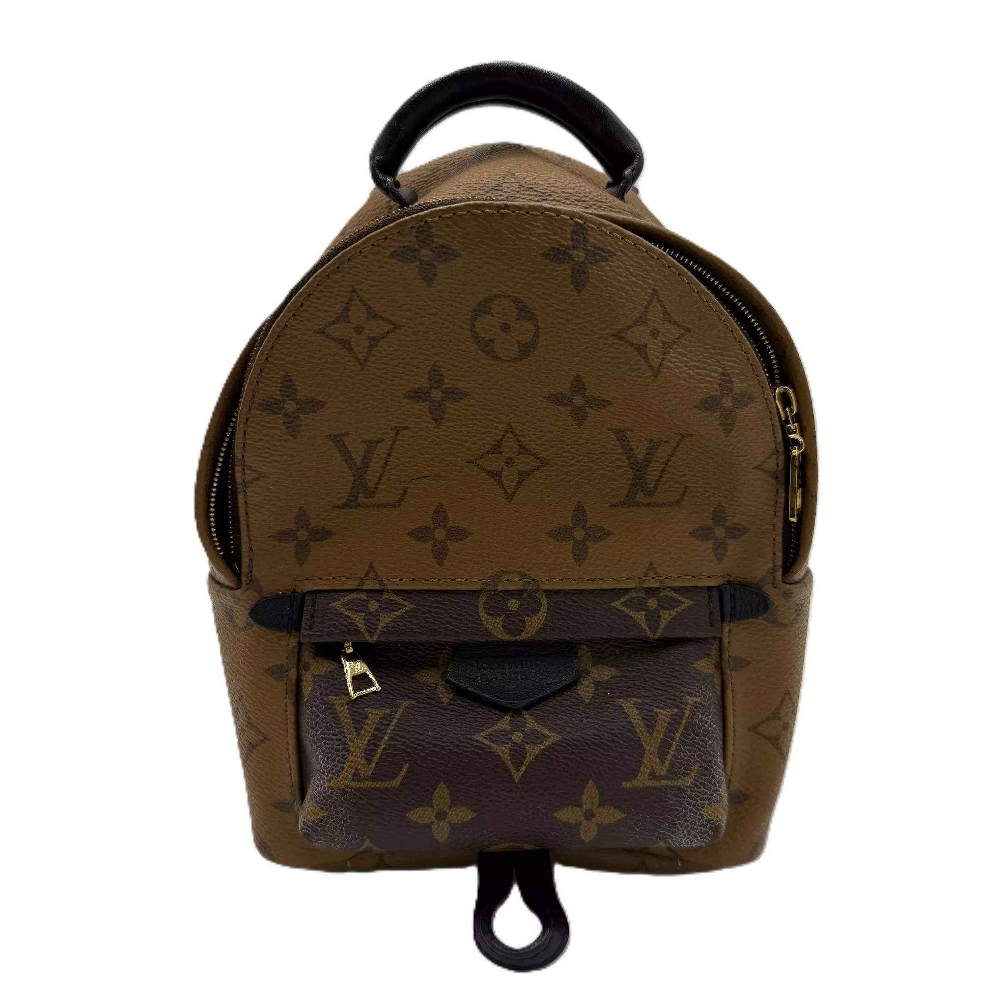 Louis Vuitton Monogram Palm Springs