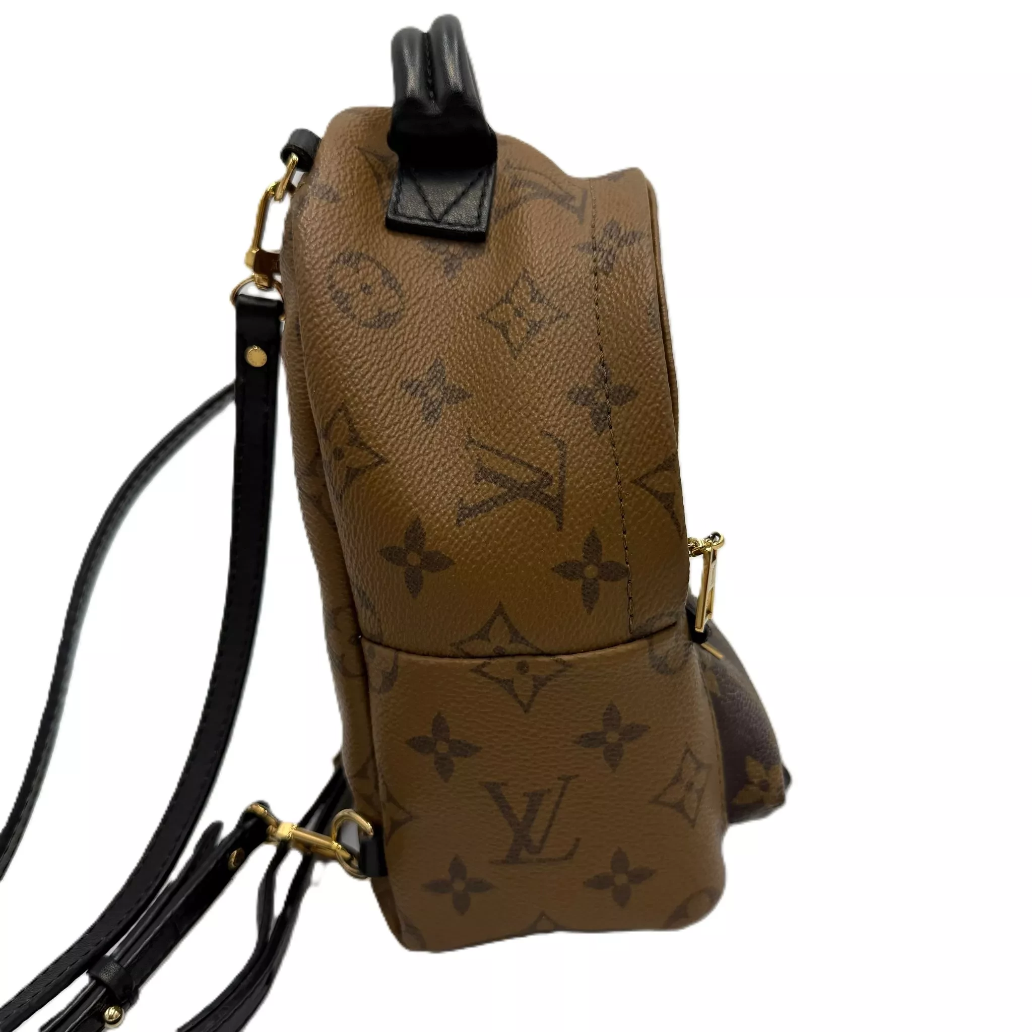 Louis Vuitton Monogram Palm Springs - Back view