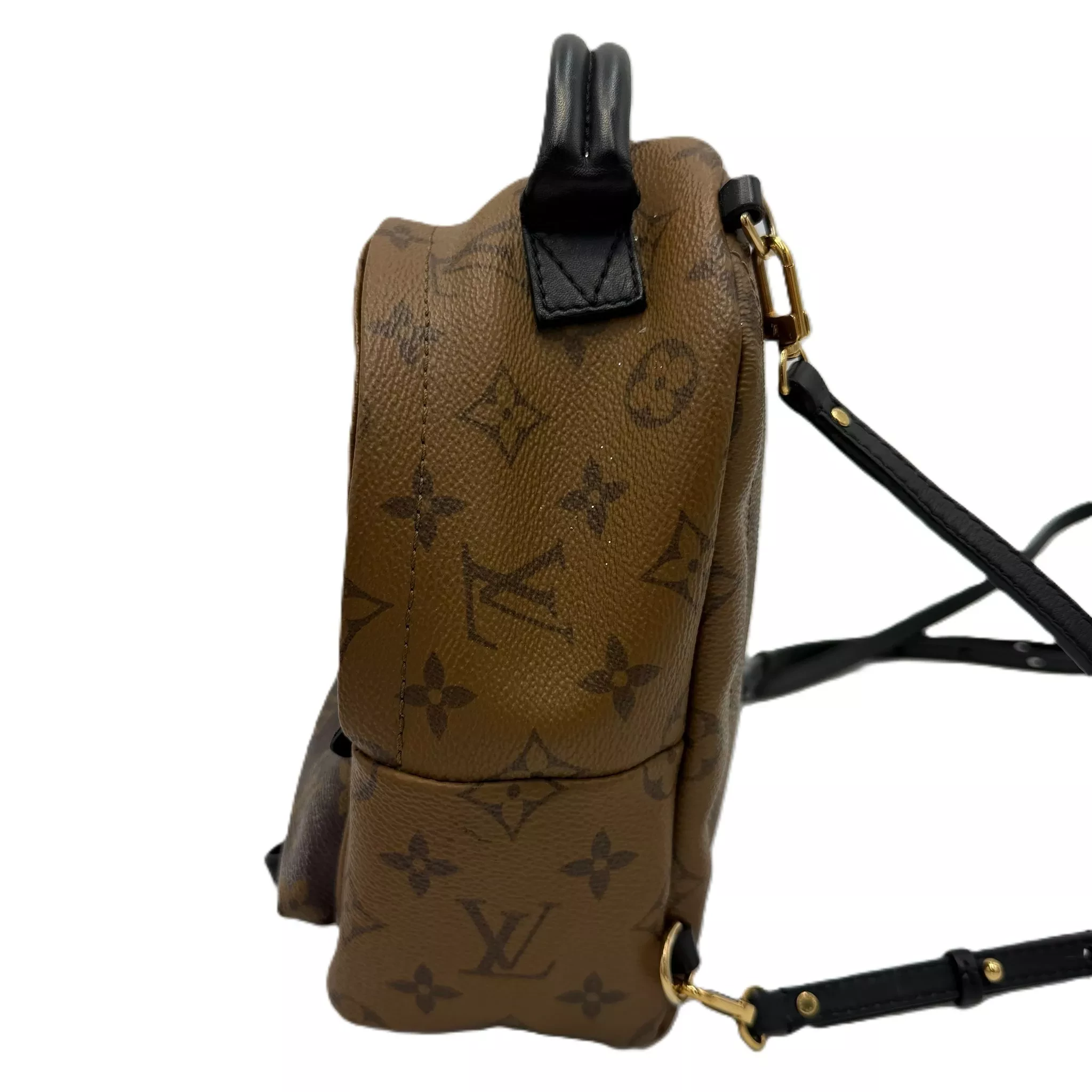 Louis Vuitton Monogram Palm Springs - Image 6