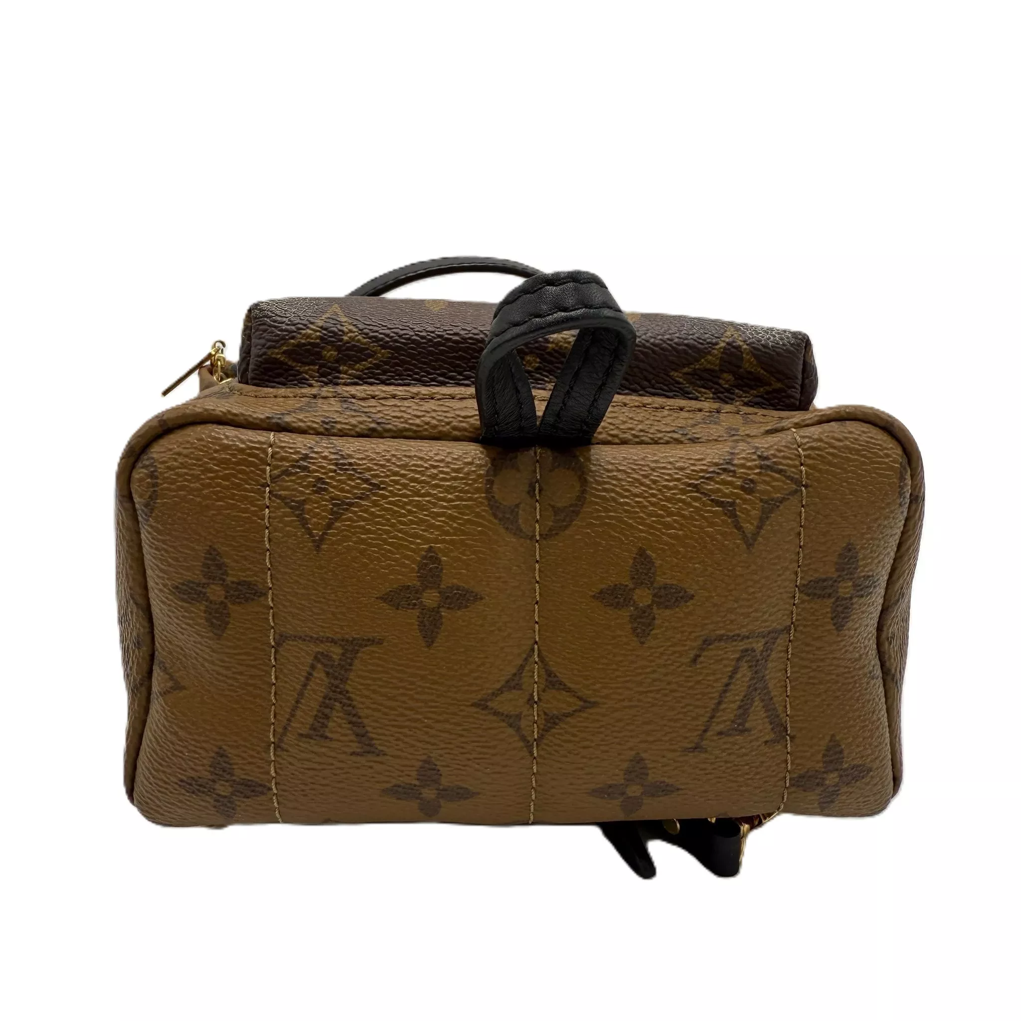 Louis Vuitton Monogram Palm Springs - 4