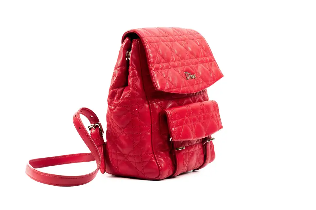 Christian Dior Small Quilted Stardust Backpack - 4