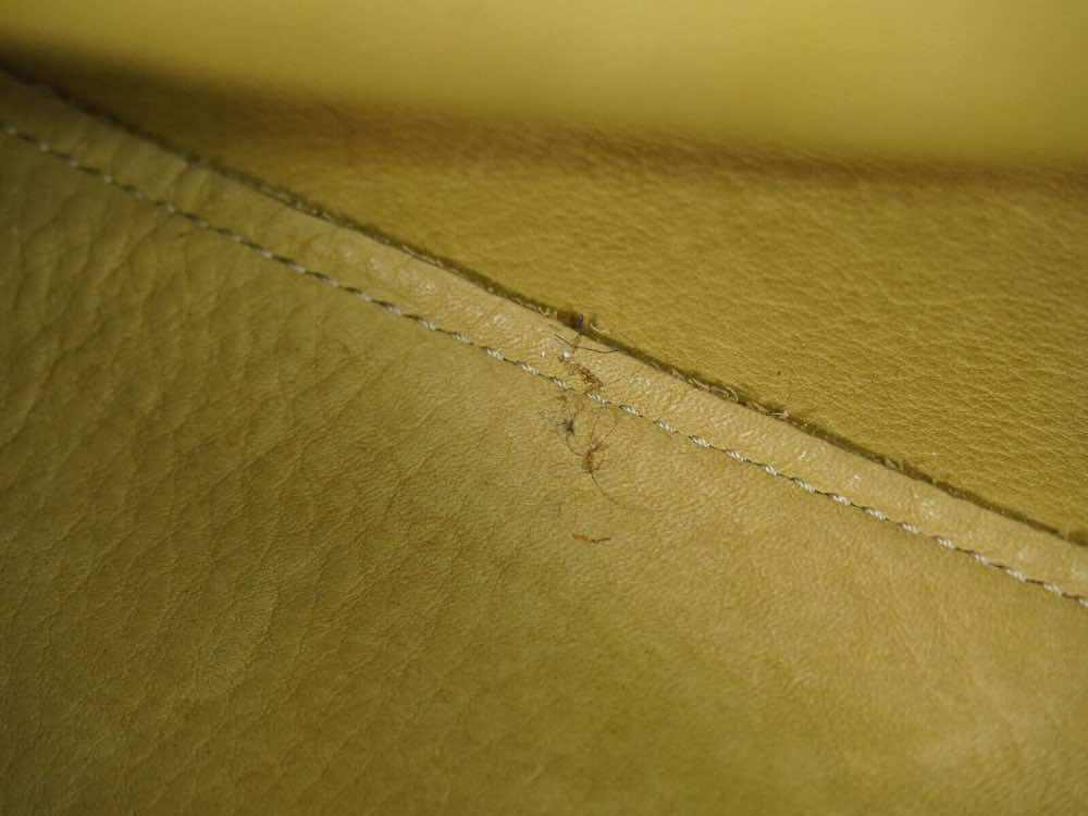 Loewe Amazona - Image 15