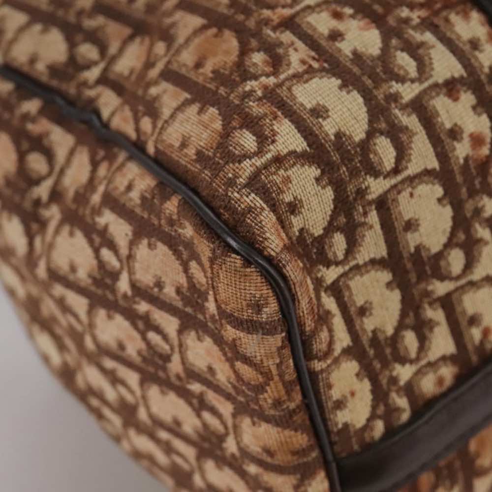 Dior Trotter - Detail 1