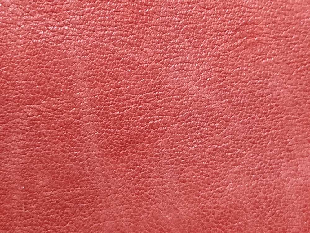 Gucci Emily - Image 10