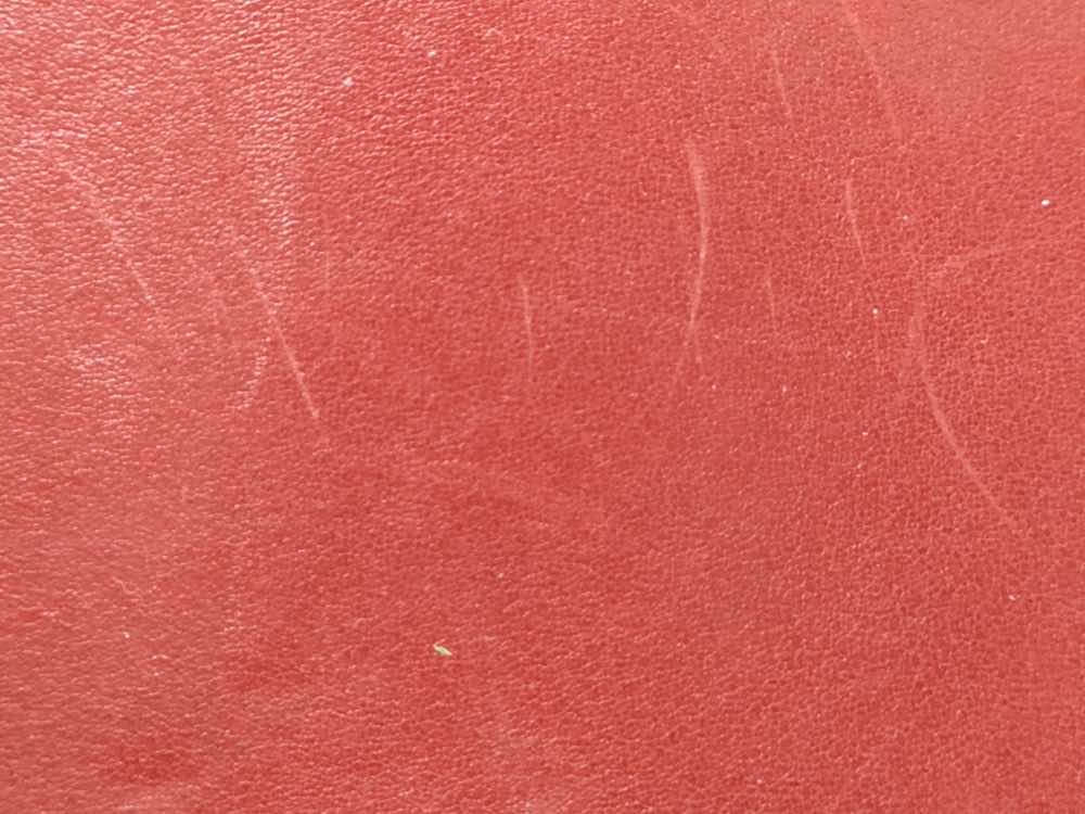 Gucci Emily - Image 12