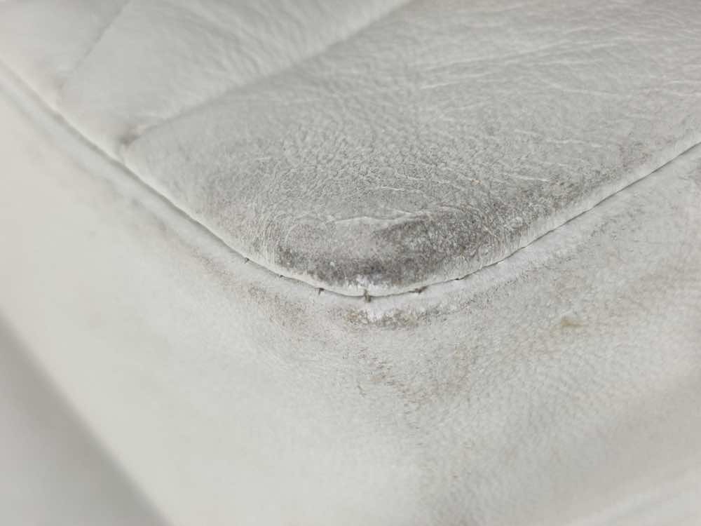 Chanel Diana - Side view