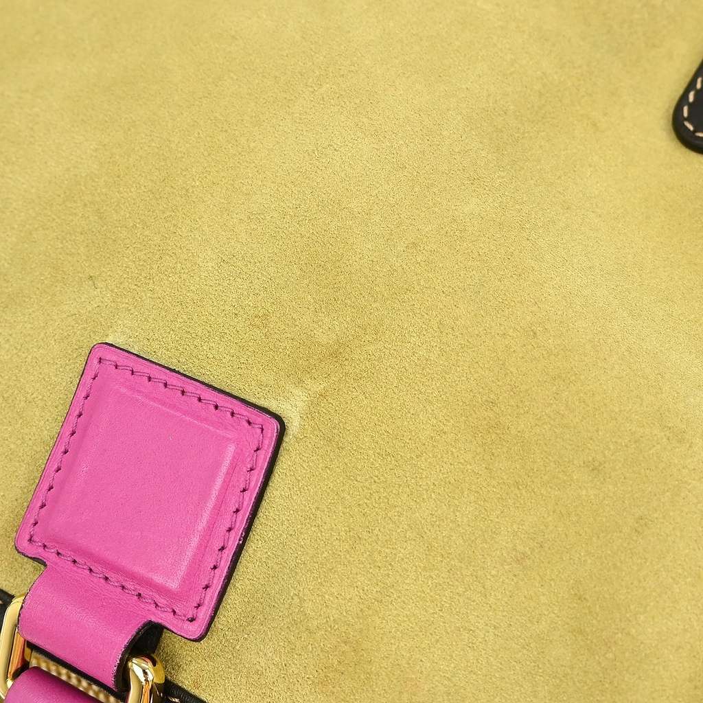 Loewe Amazona suede Beige Leather Good condition - Model View